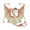 Raphinos