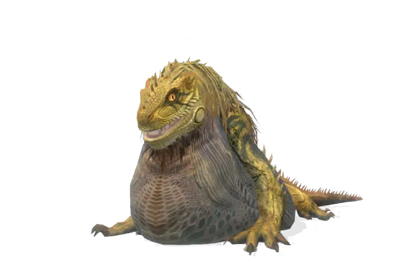 Great Jagras -portrait