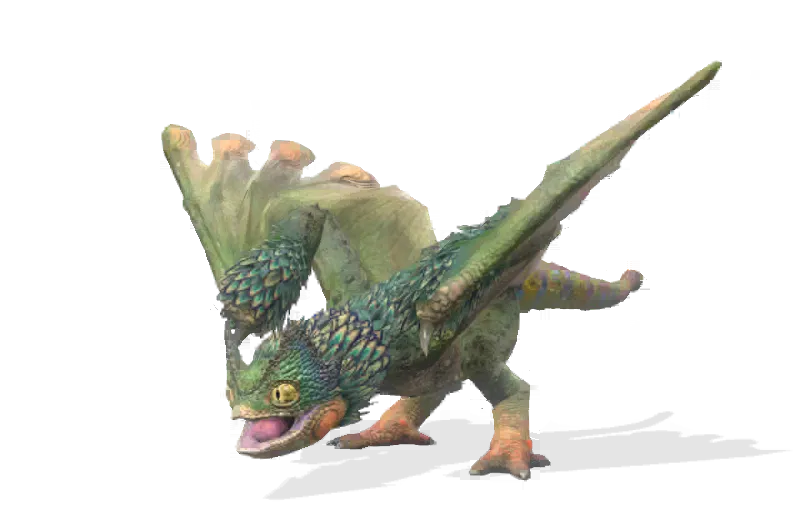 Pukei-Pukei-portrait