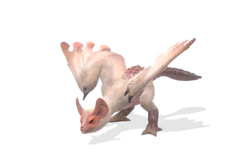 Paolumu-portrait