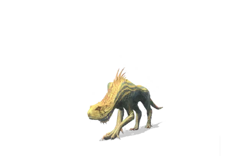 Jagras-portrait