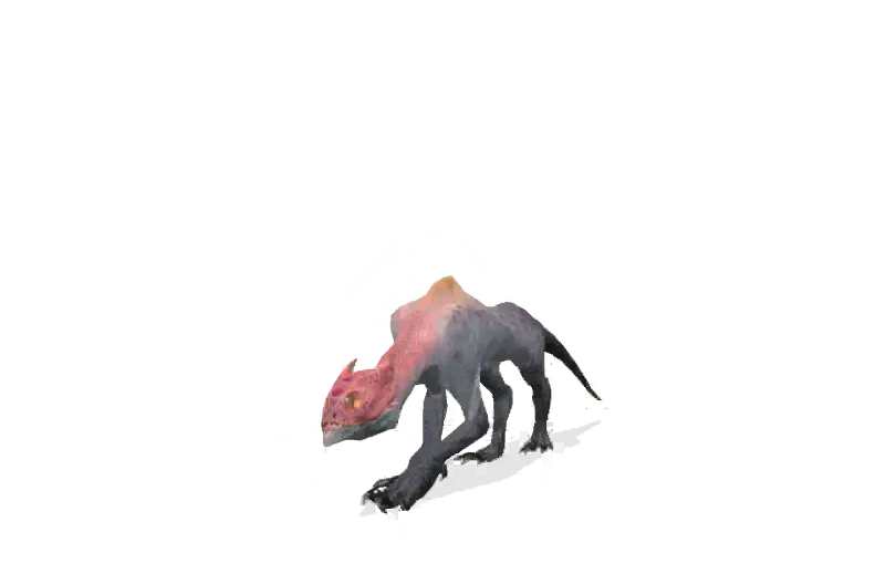 Shamos-portrait